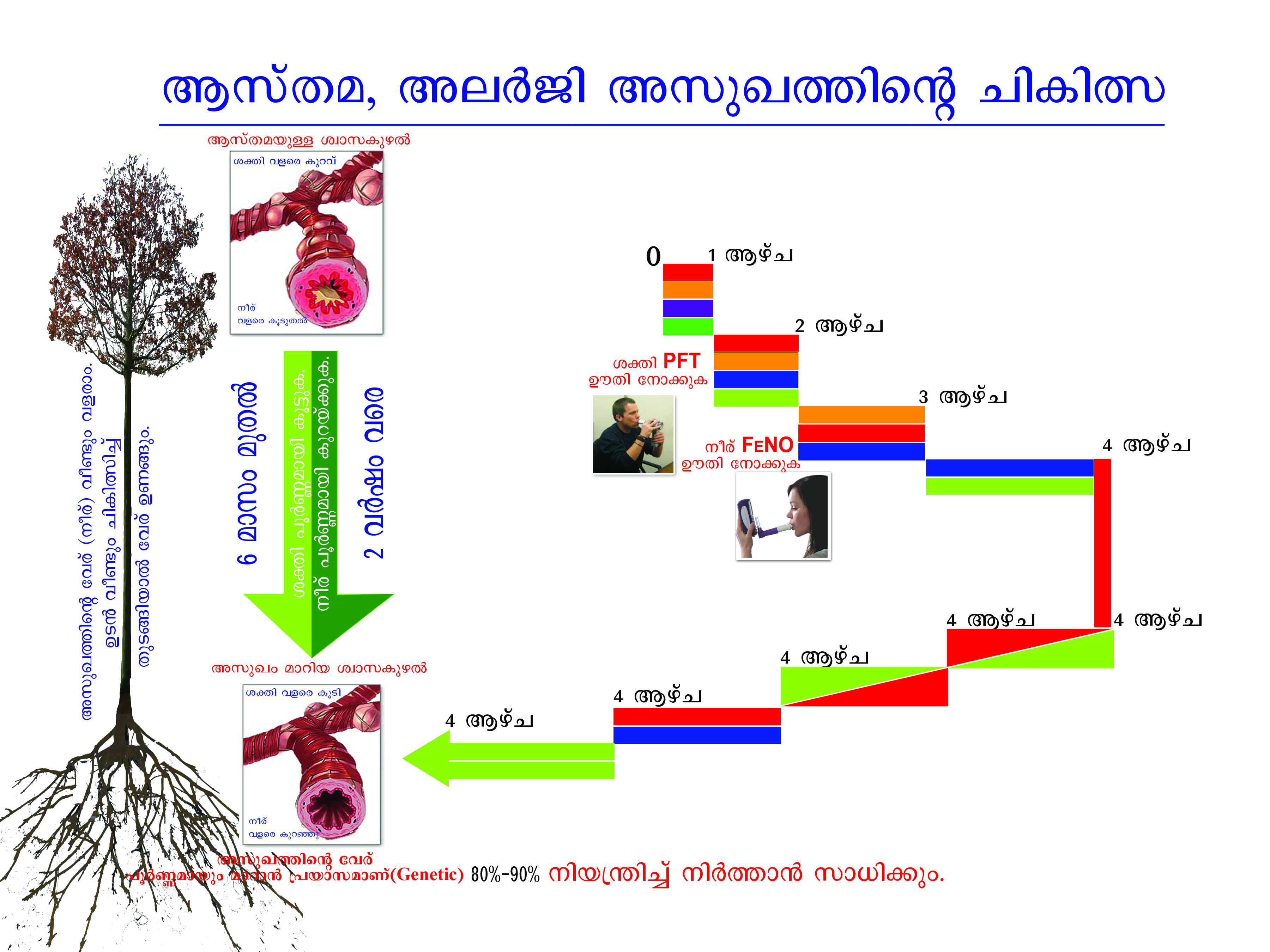 Pulmonology Asthma Allergy Cnetre thrissur .Sneezing Factsheet